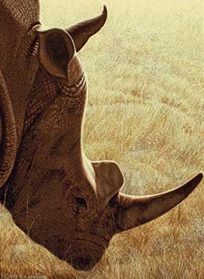 Painting: "Rhino" - ©1988-C.E.Newland - acrylic - Private Collection